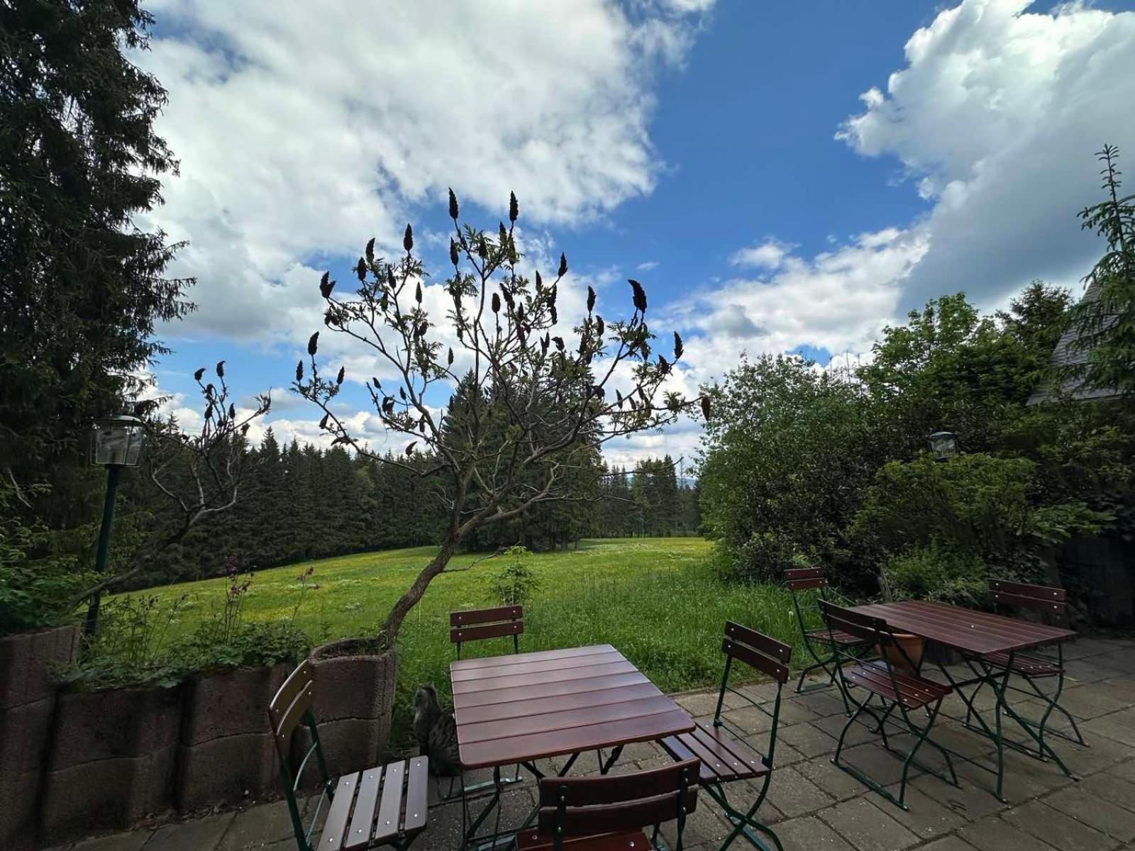 Waldhotel Zoebischhaus Bad Reiboldsgrün المظهر الخارجي الصورة