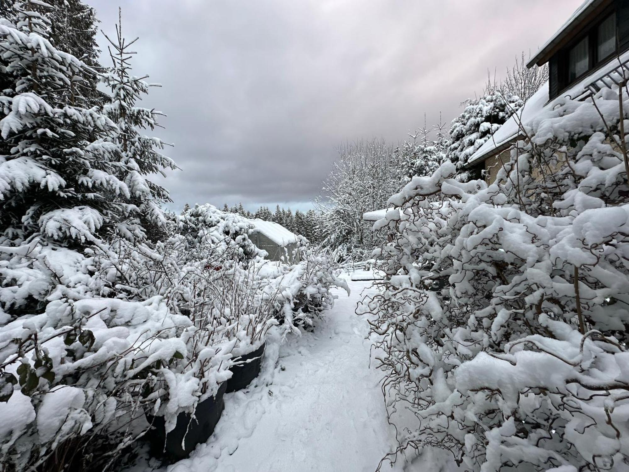 Waldhotel Zoebischhaus Bad Reiboldsgrün المظهر الخارجي الصورة