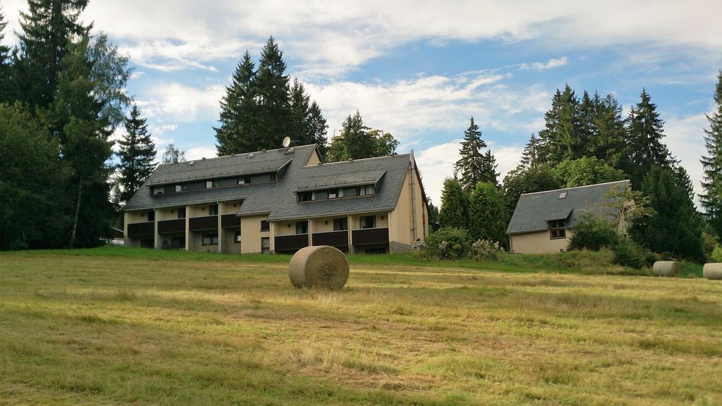 Waldhotel Zoebischhaus Bad Reiboldsgrün المظهر الخارجي الصورة